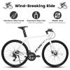 A28314 700c Ecarpat Road Bike, 14-Speed Shimano Disc Brakes, Light Weight Aluminum Frame ,Racing Bike City Commuting Road Bicycle for Men Women